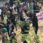 Yelwata attack: How suspected terrorists were arrested -Witness