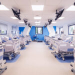 Taraba health facility records 51 deaths from Lassa fever outbreak