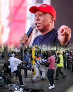 Julius Malema