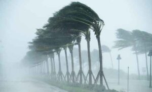 Windstorm file photo