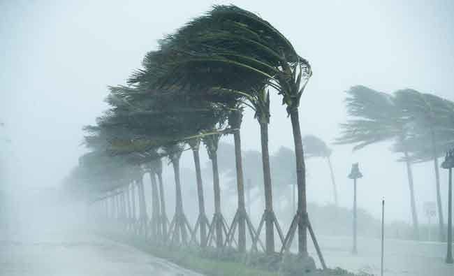 Windstorm file photo